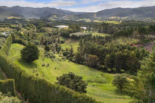 232 Wharawhara Road Aongatete_4