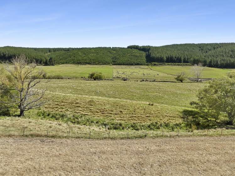 Quail Valley Road_1