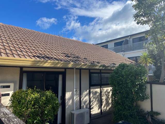 53/3 Maunganui Rd Mt Maunganui_1