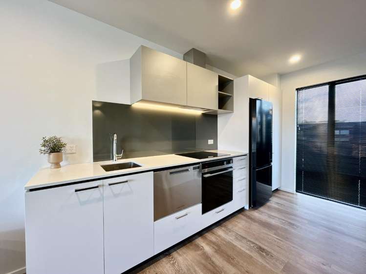 339a Cashel Street 1419_4