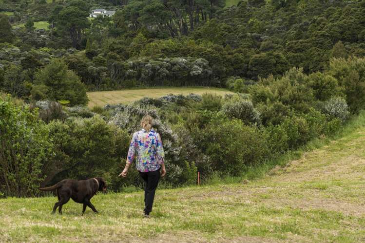 31 Karahiwi Lane Dairy Flat_12