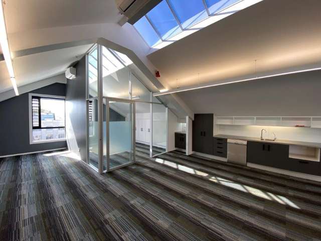 8 Cleveland Road Parnell_4