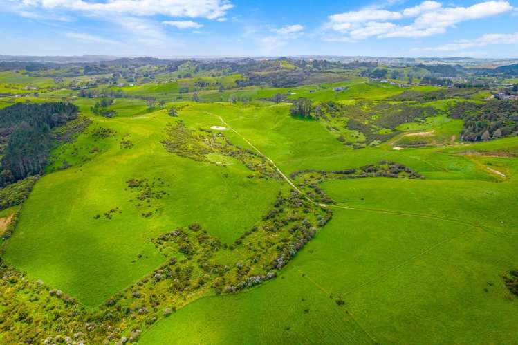 515 Kahikatea Flat Road Waitoki_29