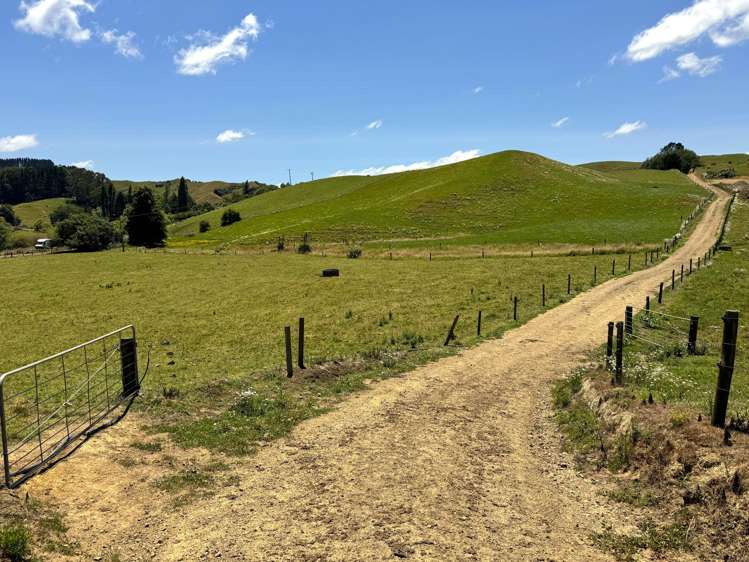 219 Waitomo Valley Road Otorohanga_13