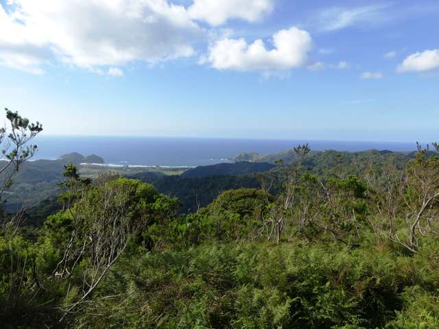 230 Schooner Bay Road Great Barrier Island (Aotea Island)_3