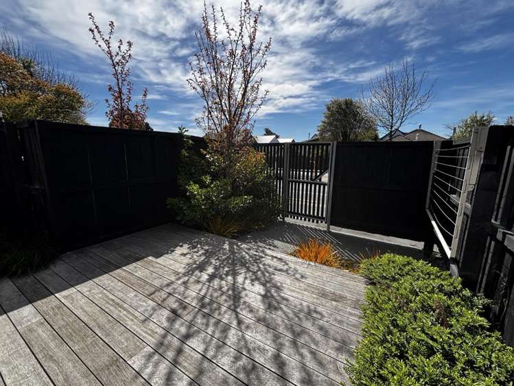 2/44 Shirley Road Shirley_8