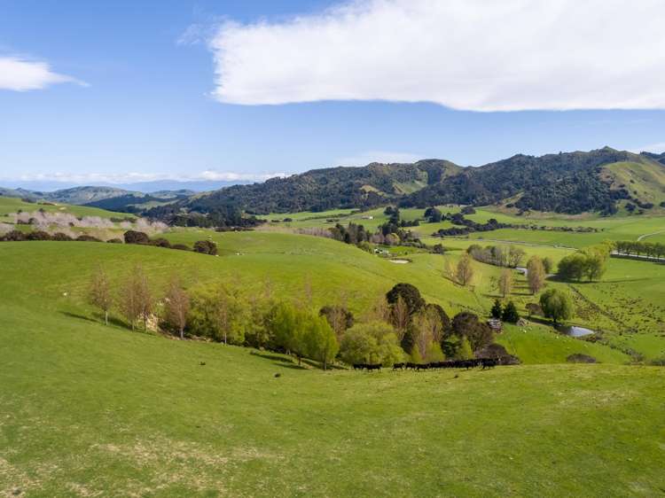 2122 Masterton Castlepoint Road Masterton_25