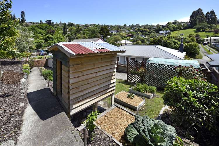 64 Toi Toi Street Toi Toi_15