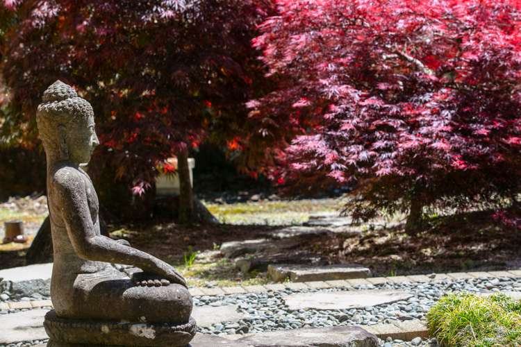 111 Old Reservoir Road Karangahake_11