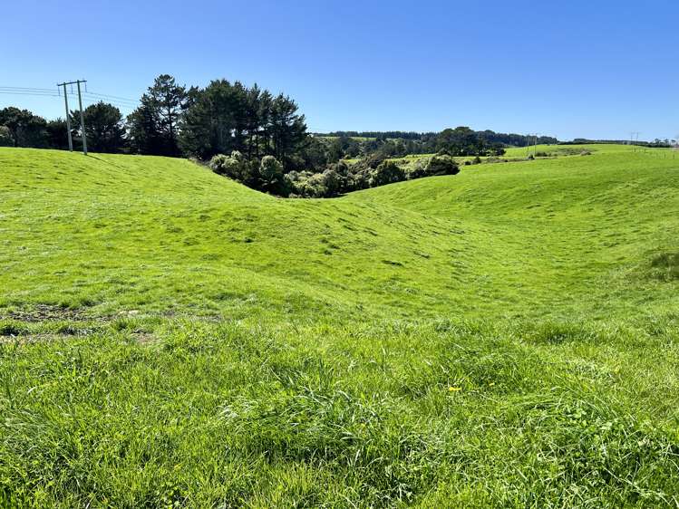 149 Paerewa Road Waverley_14