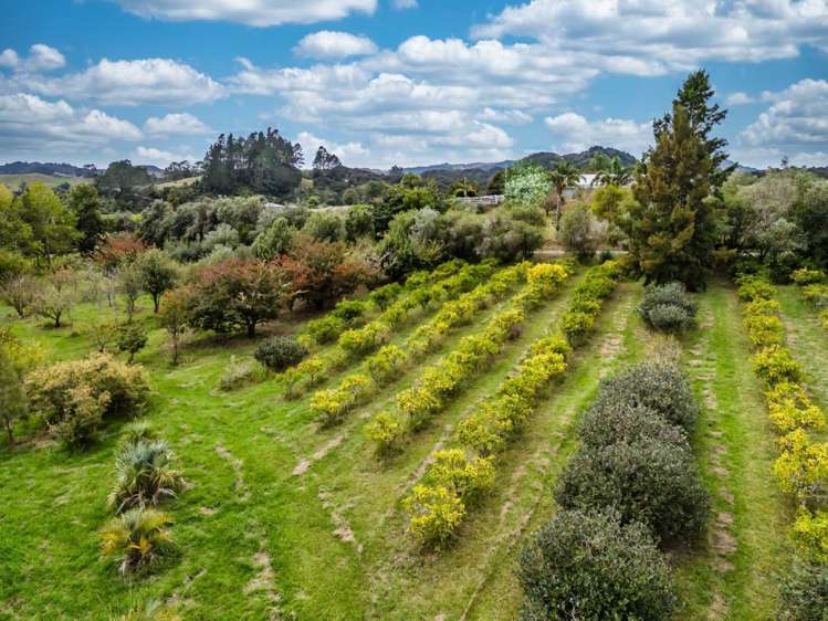 66a Rataroa Road Kaeo_21