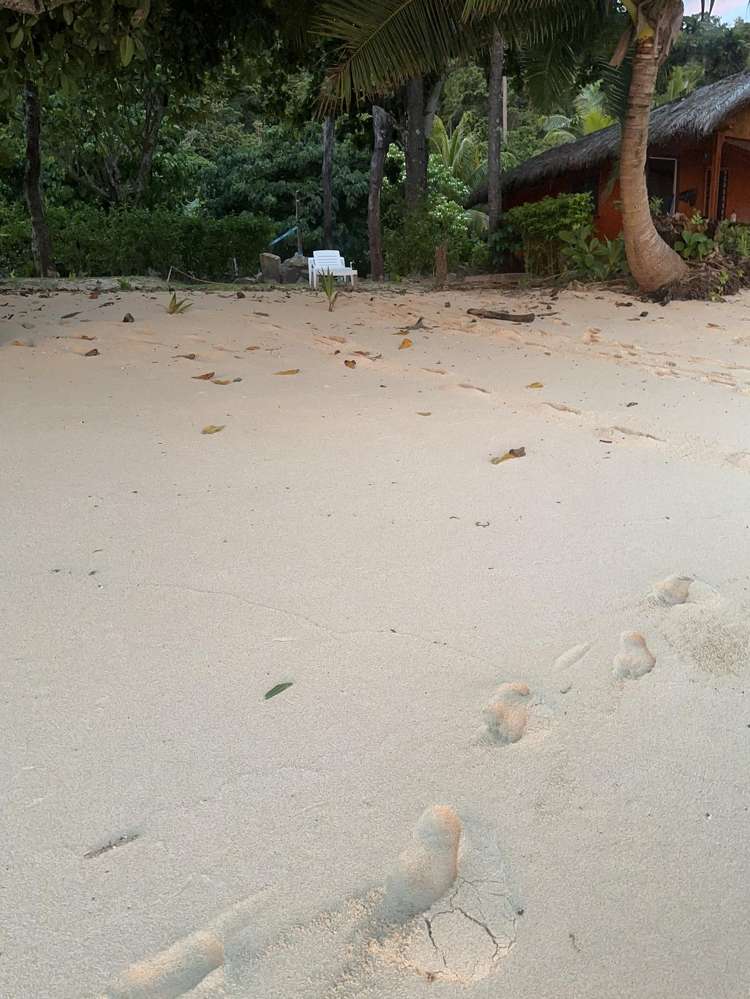 Maqai Beach Eco Surf Resort Qamea Island_32