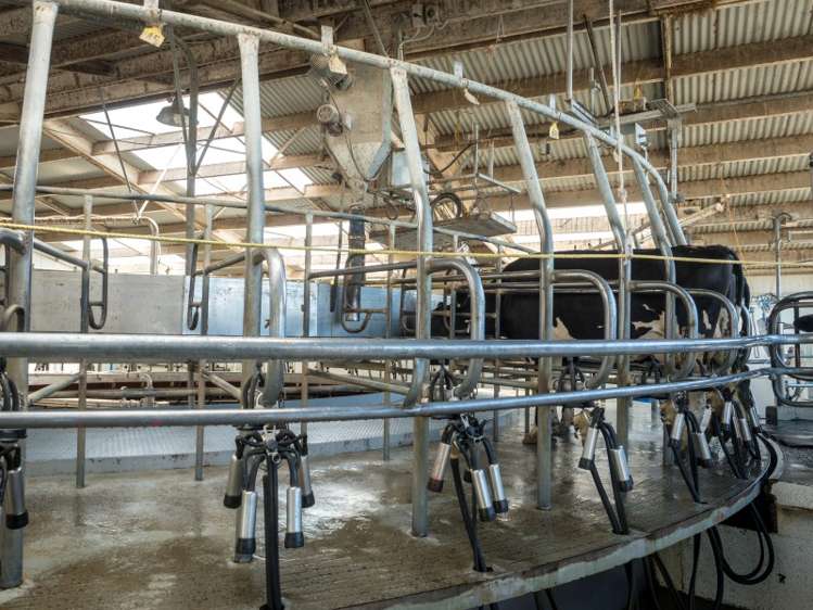 2264 Thompsons Track Lauriston_15