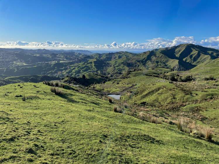 783 Glenroy Road Whangara_18