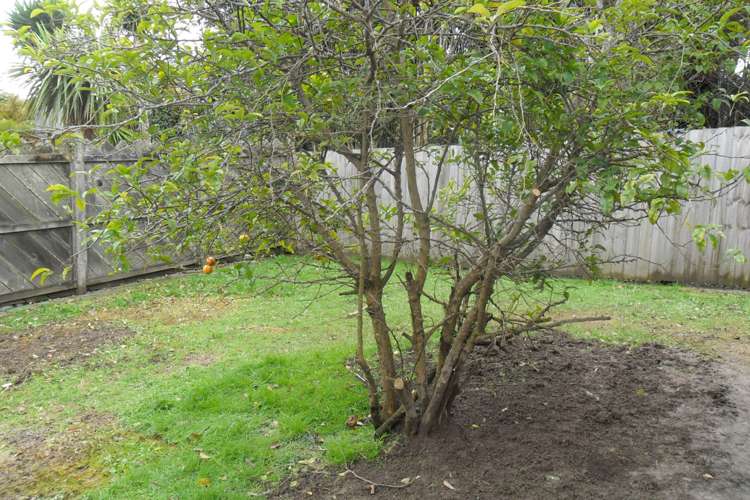 2/1 Balmain Road Birkenhead_12