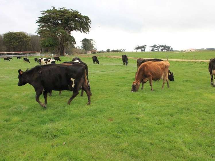 67 Pahia Round Hill Road Pahia_10