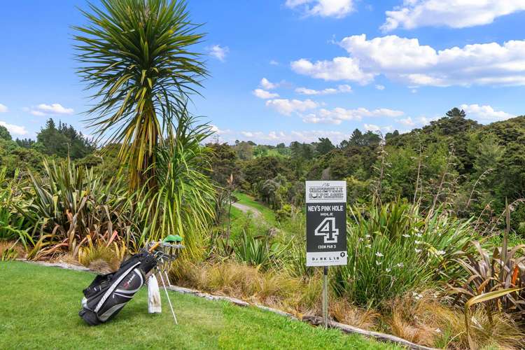 153 Mahoenui Valley Road Coatesville_26