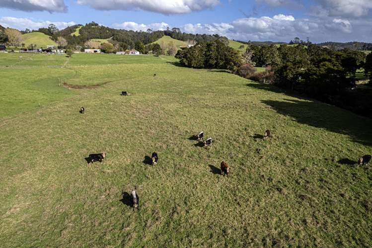 733 Marua Road Hikurangi_30