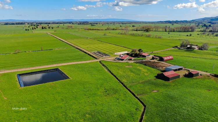 81 Station Road Puriri_6