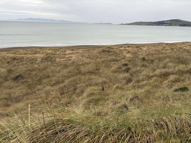 772 Orepuki-Riverton Highway Tihaka_7