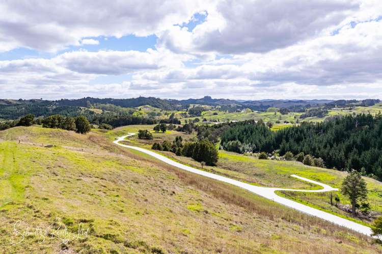 Whakapirau Road Maungaturoto_16