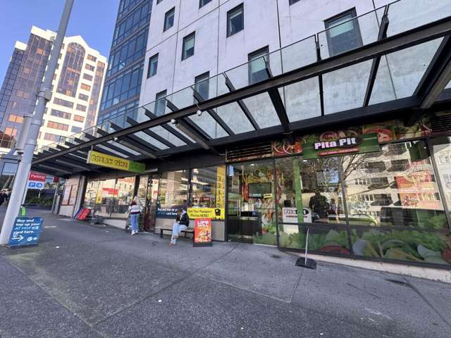 45B Symonds Street City Centre_2