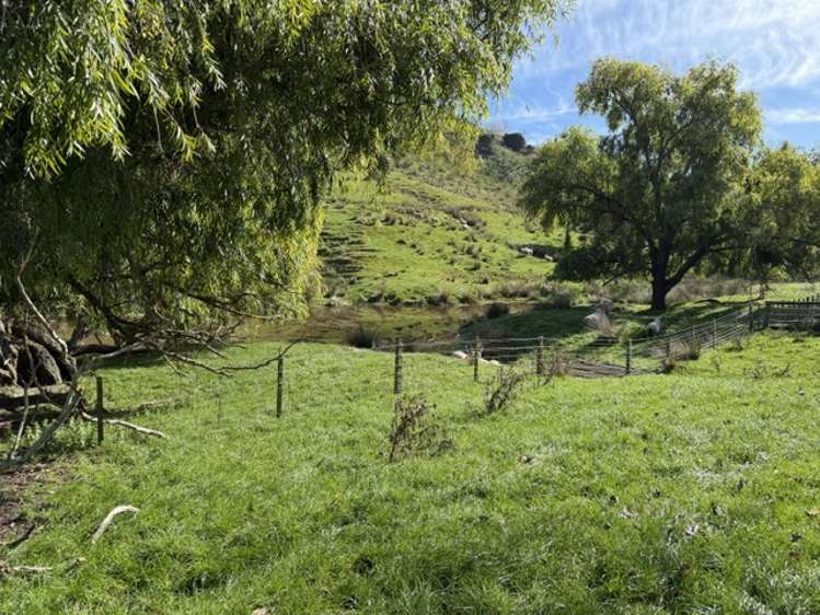 235 Te Ore Ore-Bideford Road Masterton_8
