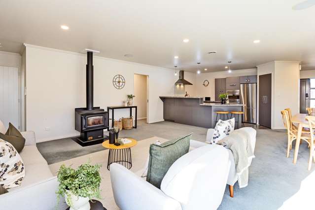 46 Hoffman Court Waikiwi_4