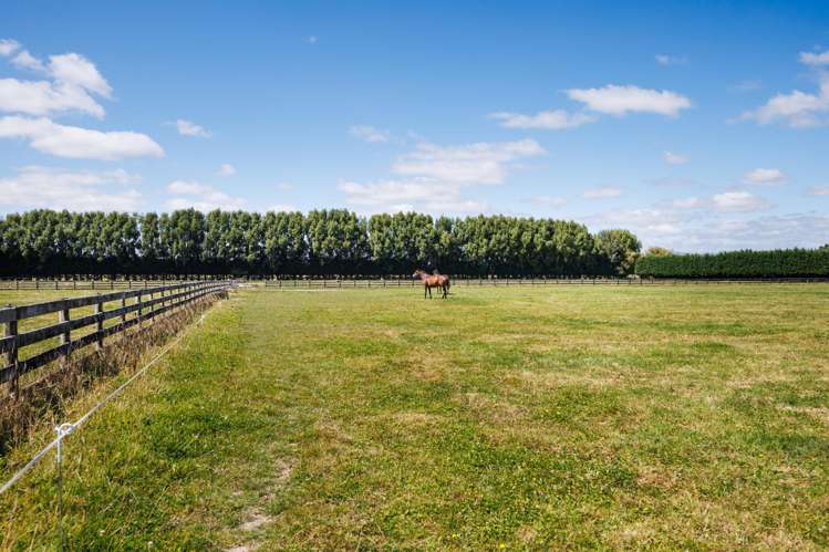 571 Kairanga Bunnythorpe Road Milson_20