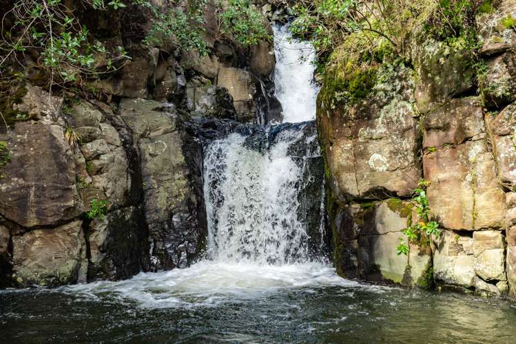 448 Taita Road Waimamaku_14