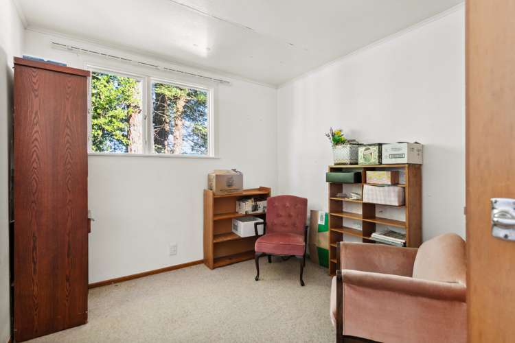 54b Graham Road Inner Kaiti_7