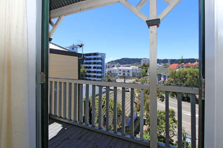 12 Brooklyn Road Aro Valley_11