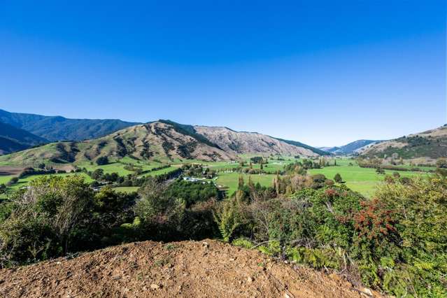 State Highway 6 Havelock_2