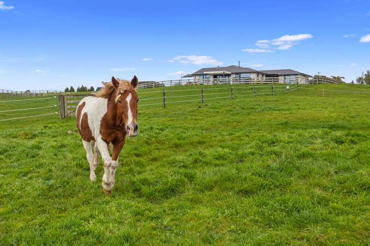 9 Betty May Drive Pyes Pa_29