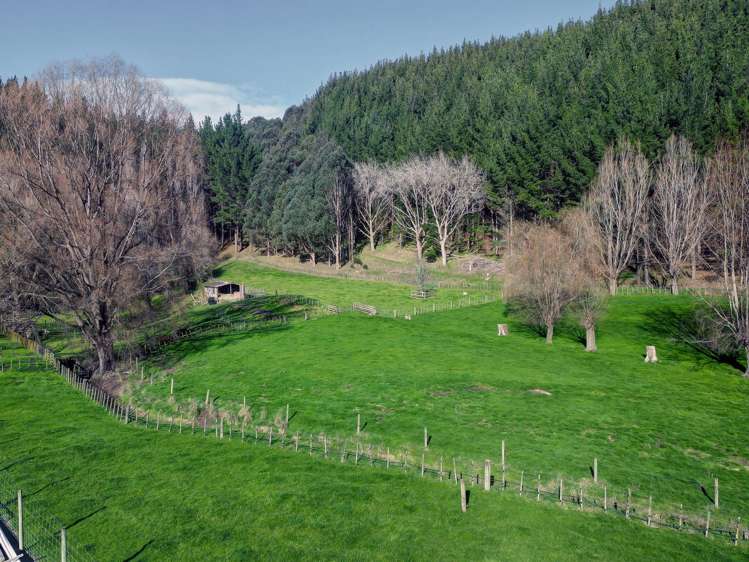 Kaukatea Valley Road Okoia_6