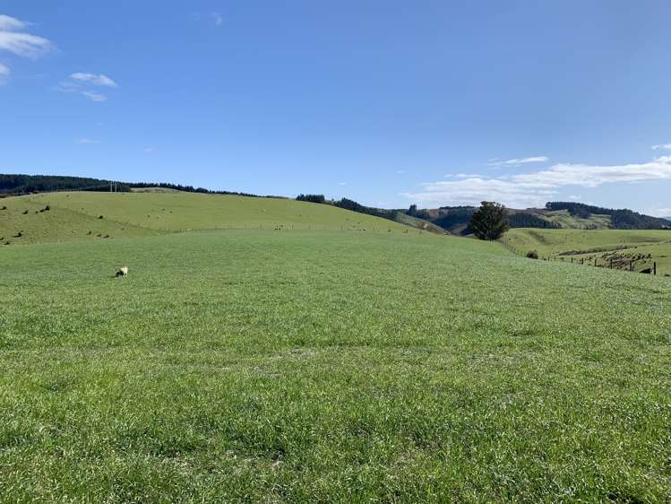 79 Patterson Road Flag Swamp_11