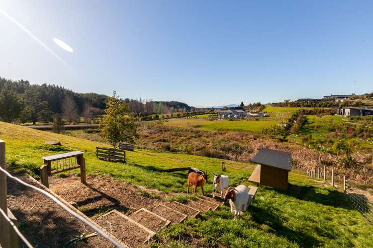 149 Stringer Road Redwood Valley_14