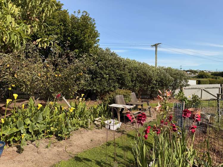 17 Anderson Street Kakanui_8