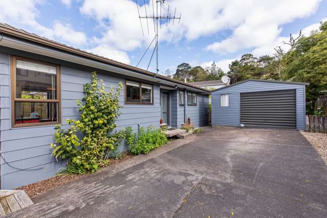 30 Hydra Place Glen Eden_1