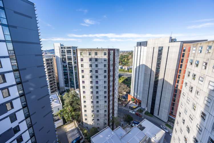 15c/3 Whitaker Place Grafton_11