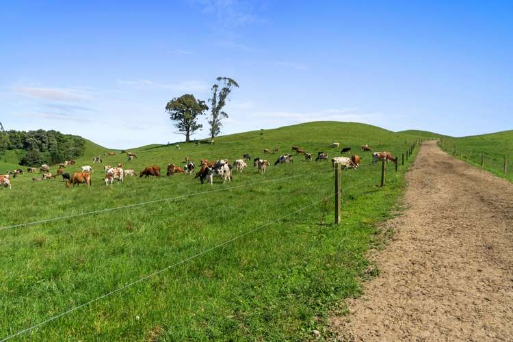 301 Matarawa Road Kinleith_2