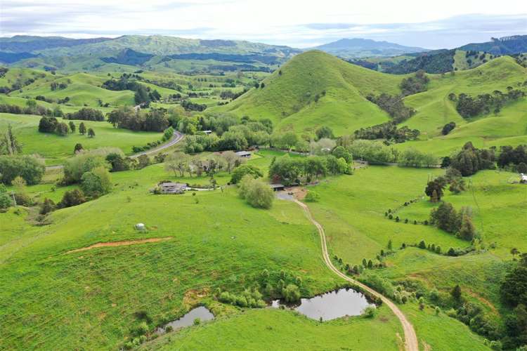 40 Cogswell Road Raglan_36