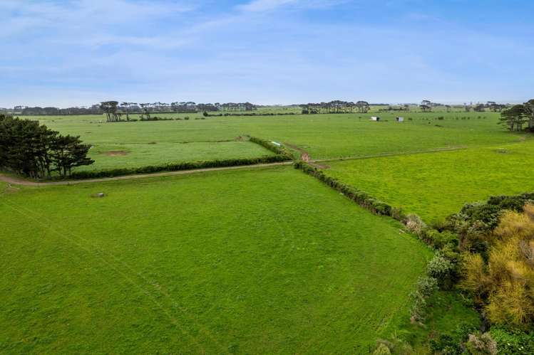 192 Upper Kina Road Oaonui_19