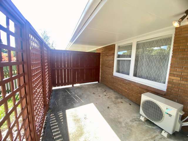 Taonui Street Rosehill_2