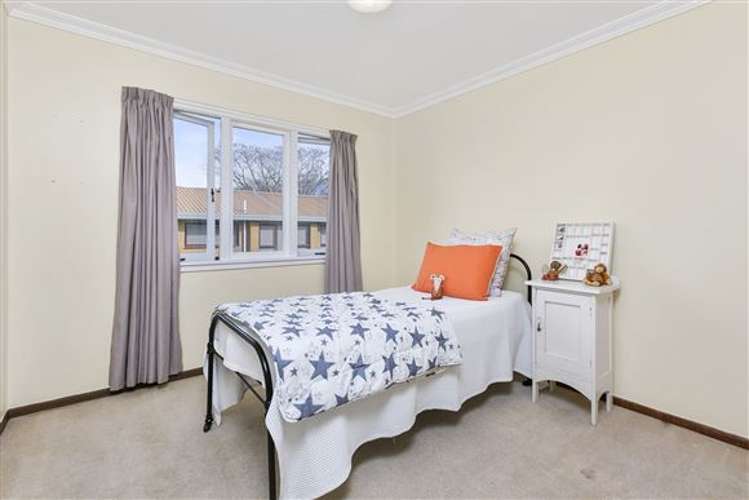 130 Greerton Road Gate Pa_6