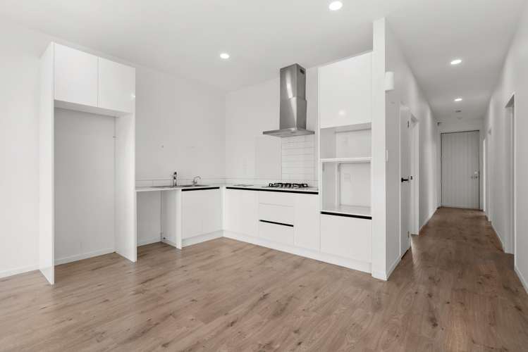 6 Swamp Kauri Grove_4