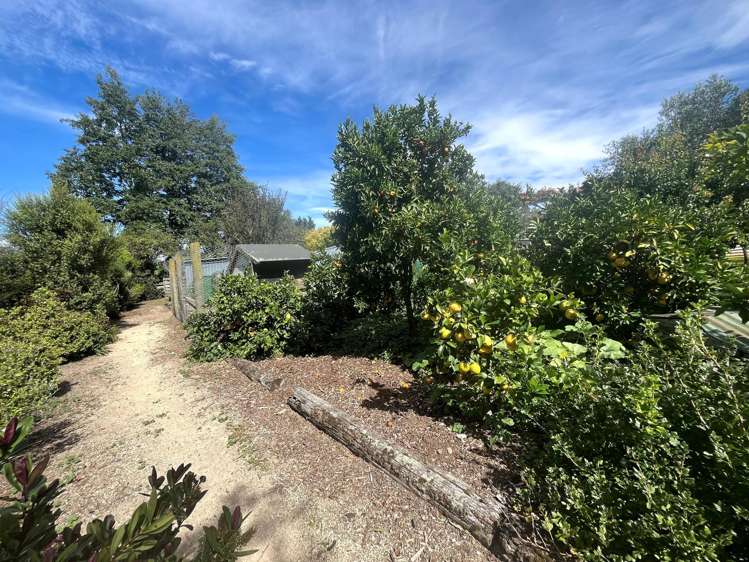 646 Wakarara Road Ongaonga_17