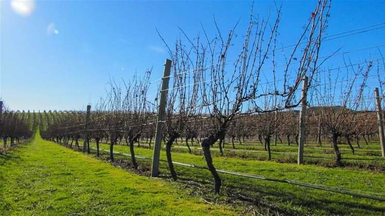 Tetley Brook Road Seddon_13