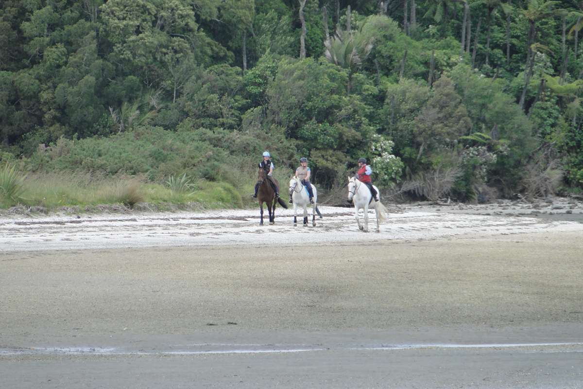 109 Okura River Road_5