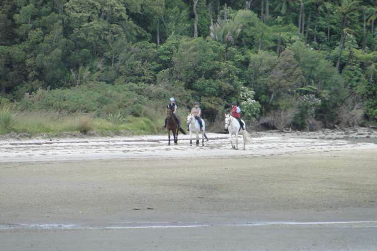 109 Okura River Road Okura_9